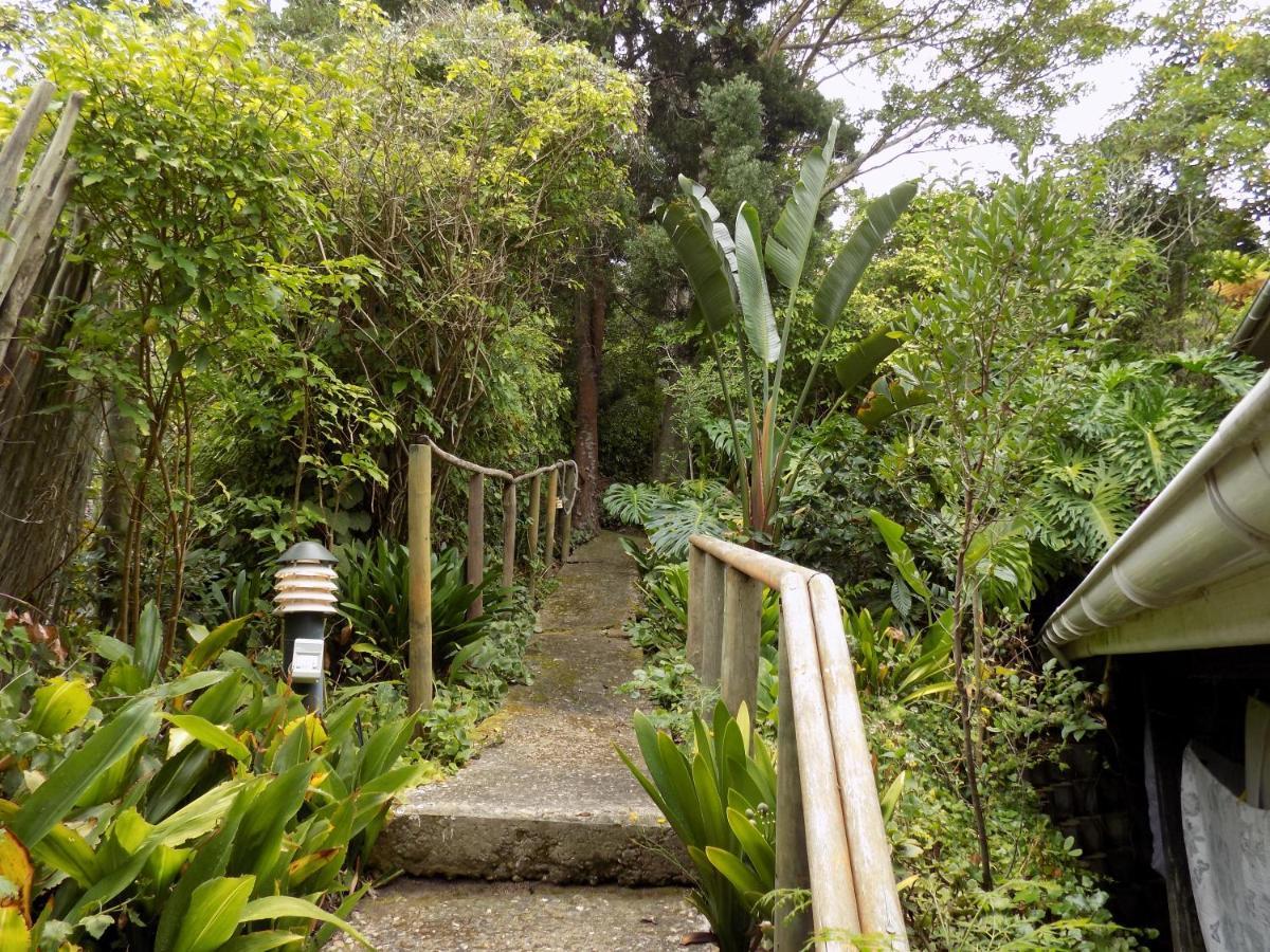 Protea Guest House Knysna Dış mekan fotoğraf