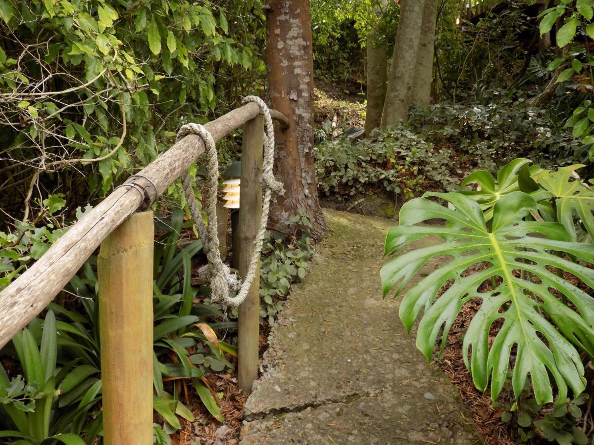 Protea Guest House Knysna Dış mekan fotoğraf