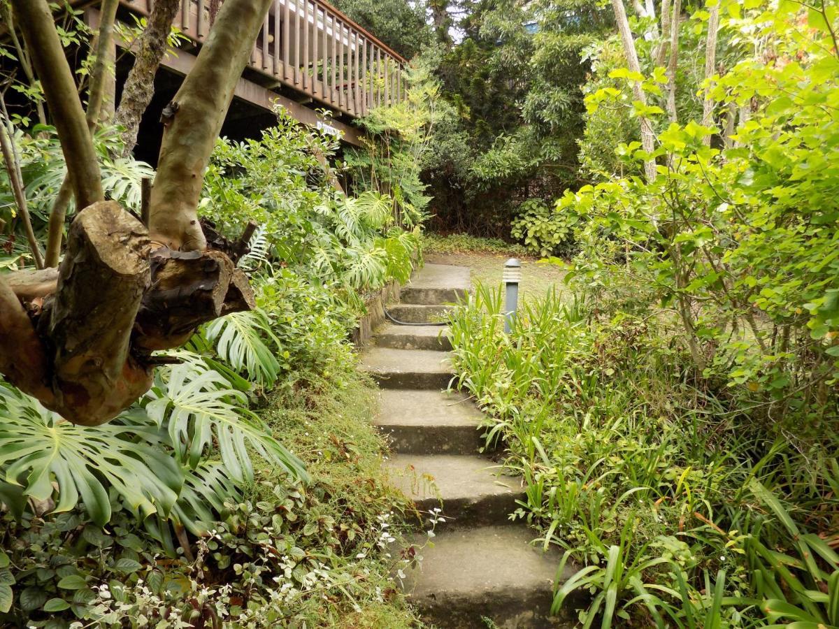 Protea Guest House Knysna Dış mekan fotoğraf