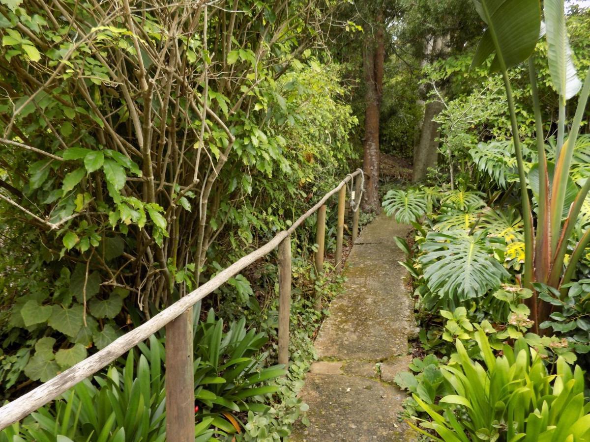Protea Guest House Knysna Dış mekan fotoğraf