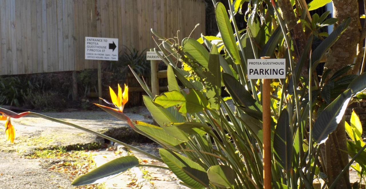 Protea Guest House Knysna Dış mekan fotoğraf
