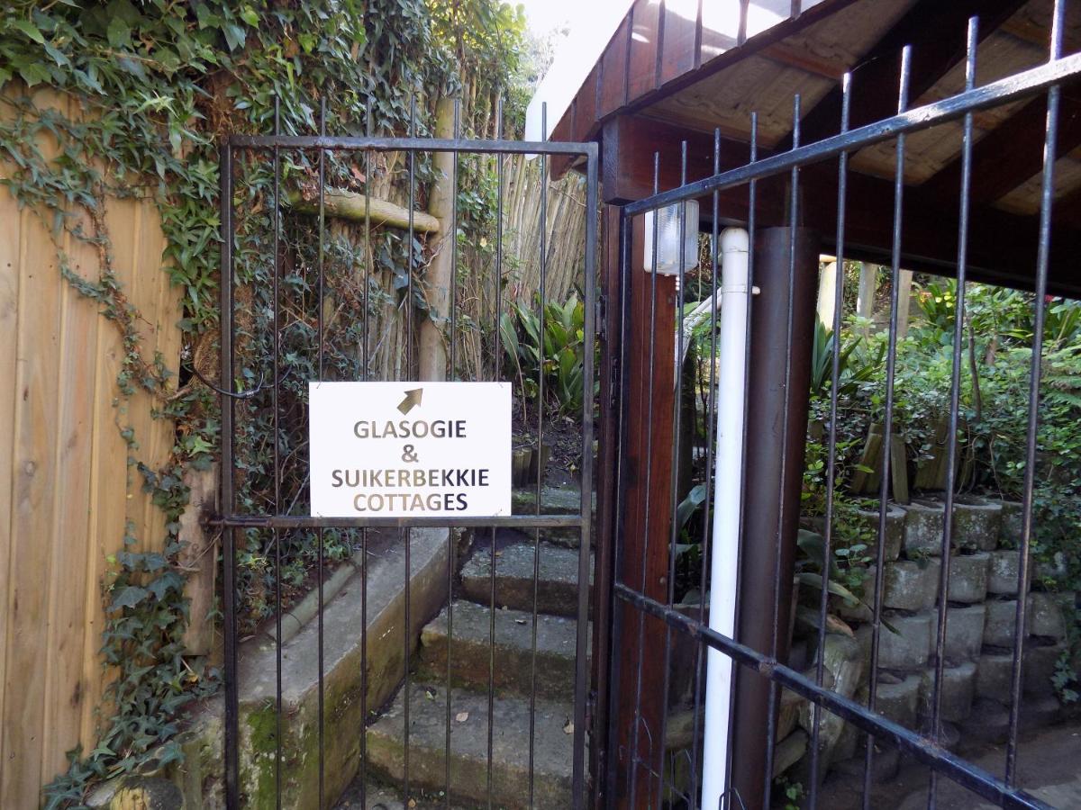 Protea Guest House Knysna Dış mekan fotoğraf