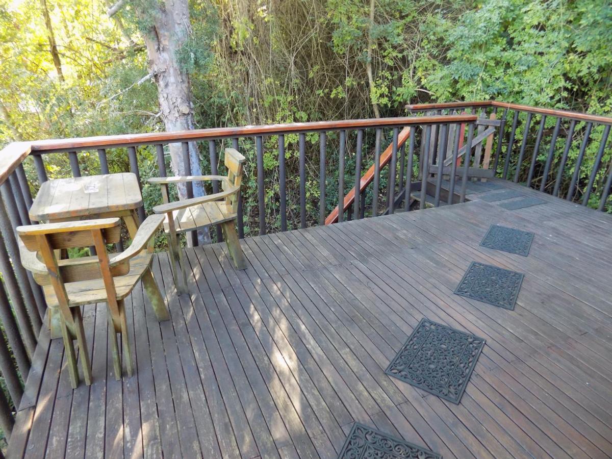 Protea Guest House Knysna Dış mekan fotoğraf