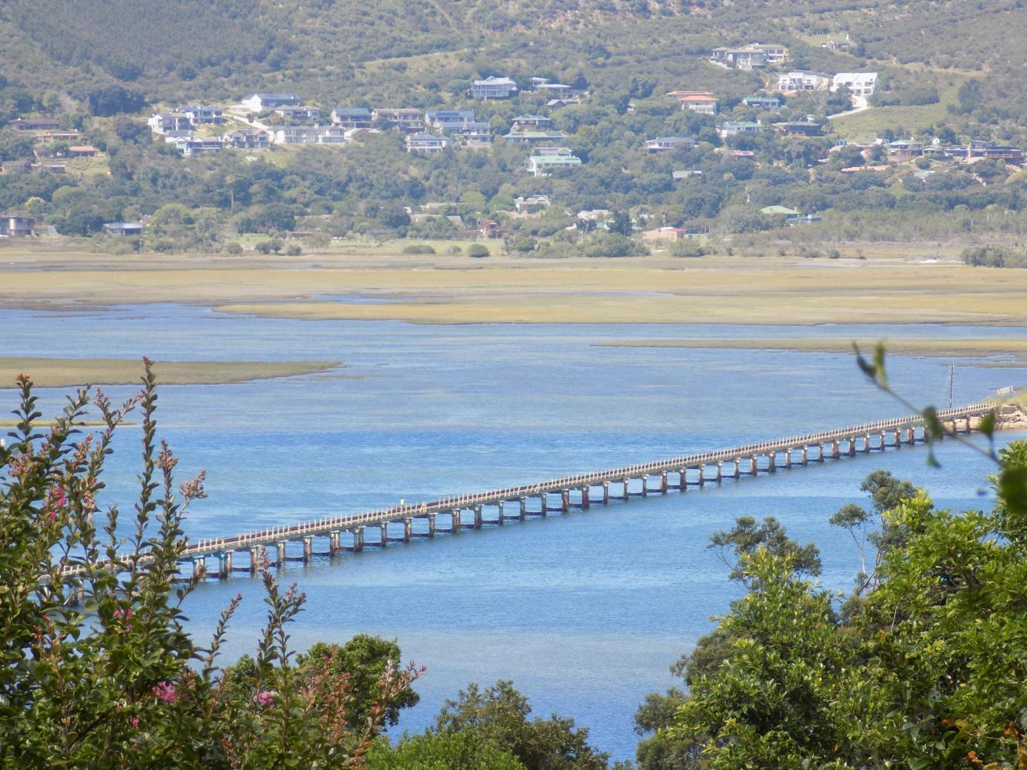Protea Guest House Knysna Dış mekan fotoğraf