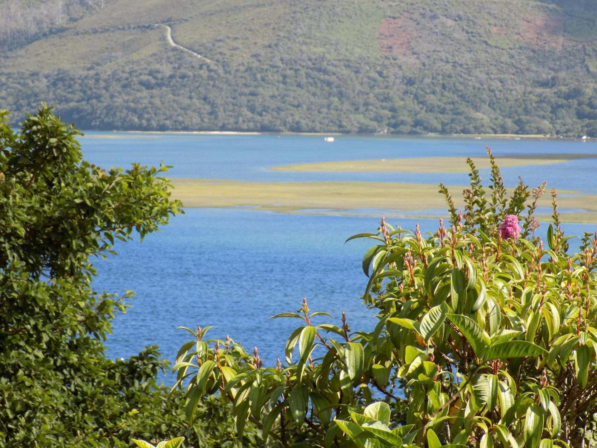 Protea Guest House Knysna Oda fotoğraf
